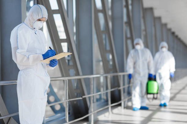 Best Mold Prevention Services  in Centerport, NY
