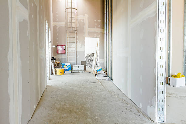 Best Post-Construction Mold Inspection  in Centerport, NY