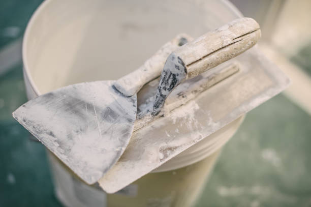 Mold Odor Removal Services in Centerport, NY